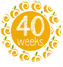 Load image into Gallery viewer, *New* Pregnancy Milestone Markers 12 Stickers total
