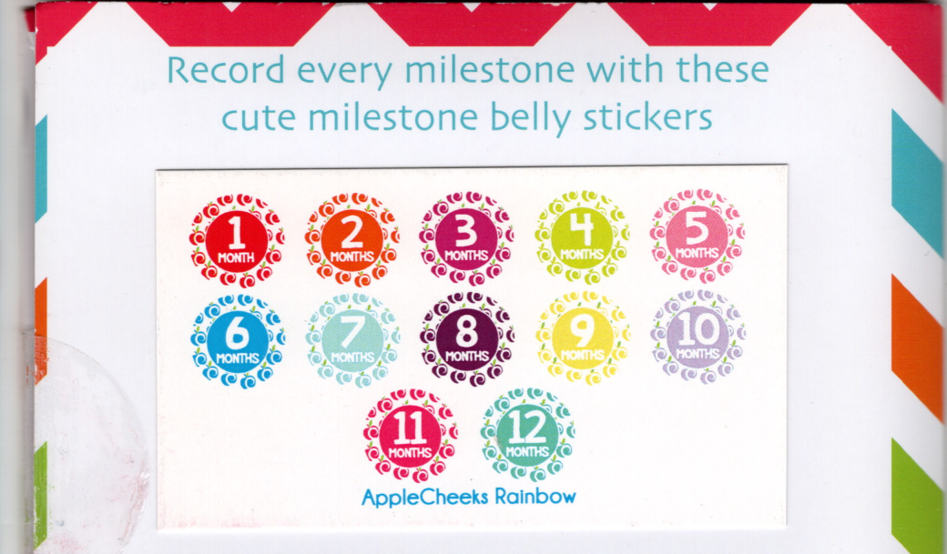 *New* Baby's First year Milestone stickers