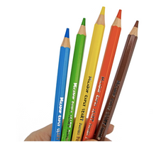 Load image into Gallery viewer, Early Start Jumbo Colouring Pencils for Fine Motor Development

